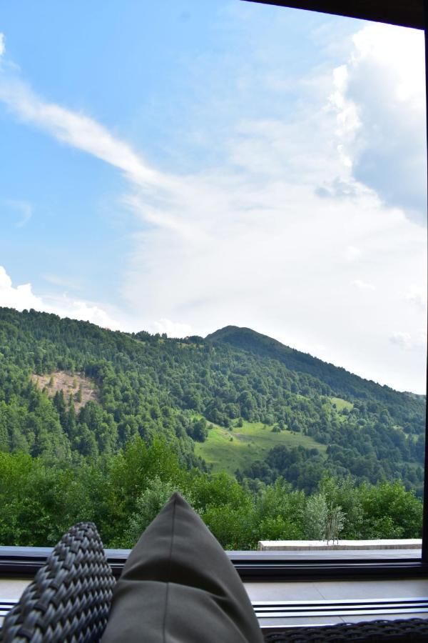 Silver View Apartment Kopaonik Exterior photo